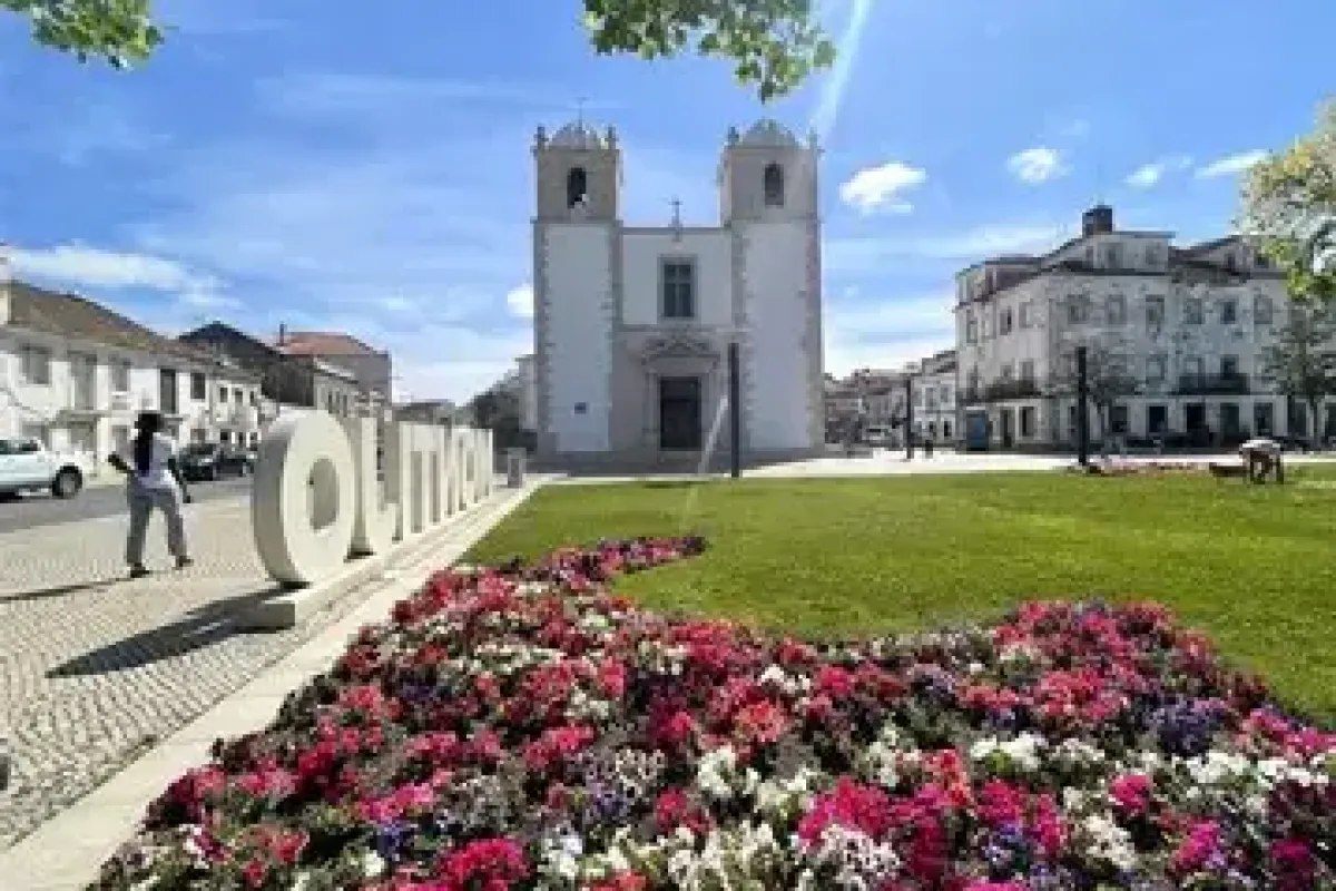 Lyon - Montijo