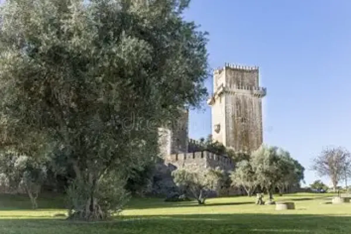 Valence - Beja